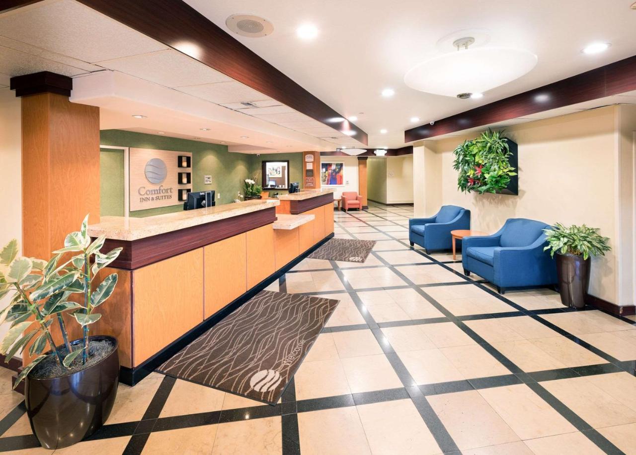 Comfort Inn & Suites Oakland Airport Exterior foto